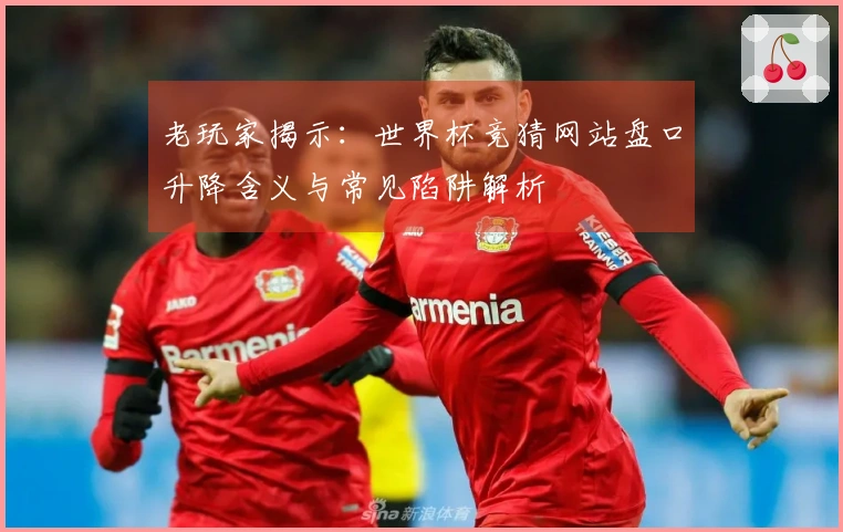 老玩家揭示：世界杯竞猜网站盘口升降含义与常见陷阱解析