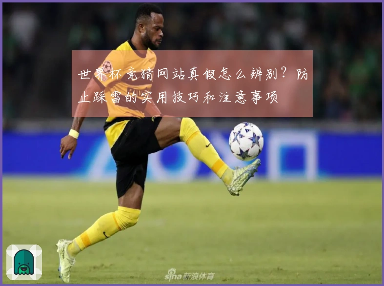 世界杯竞猜网站真假怎么辨别？防止踩雷的实用技巧和注意事项