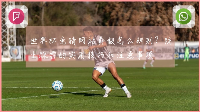 世界杯竞猜网站真假怎么辨别？防止踩雷的实用技巧和注意事项